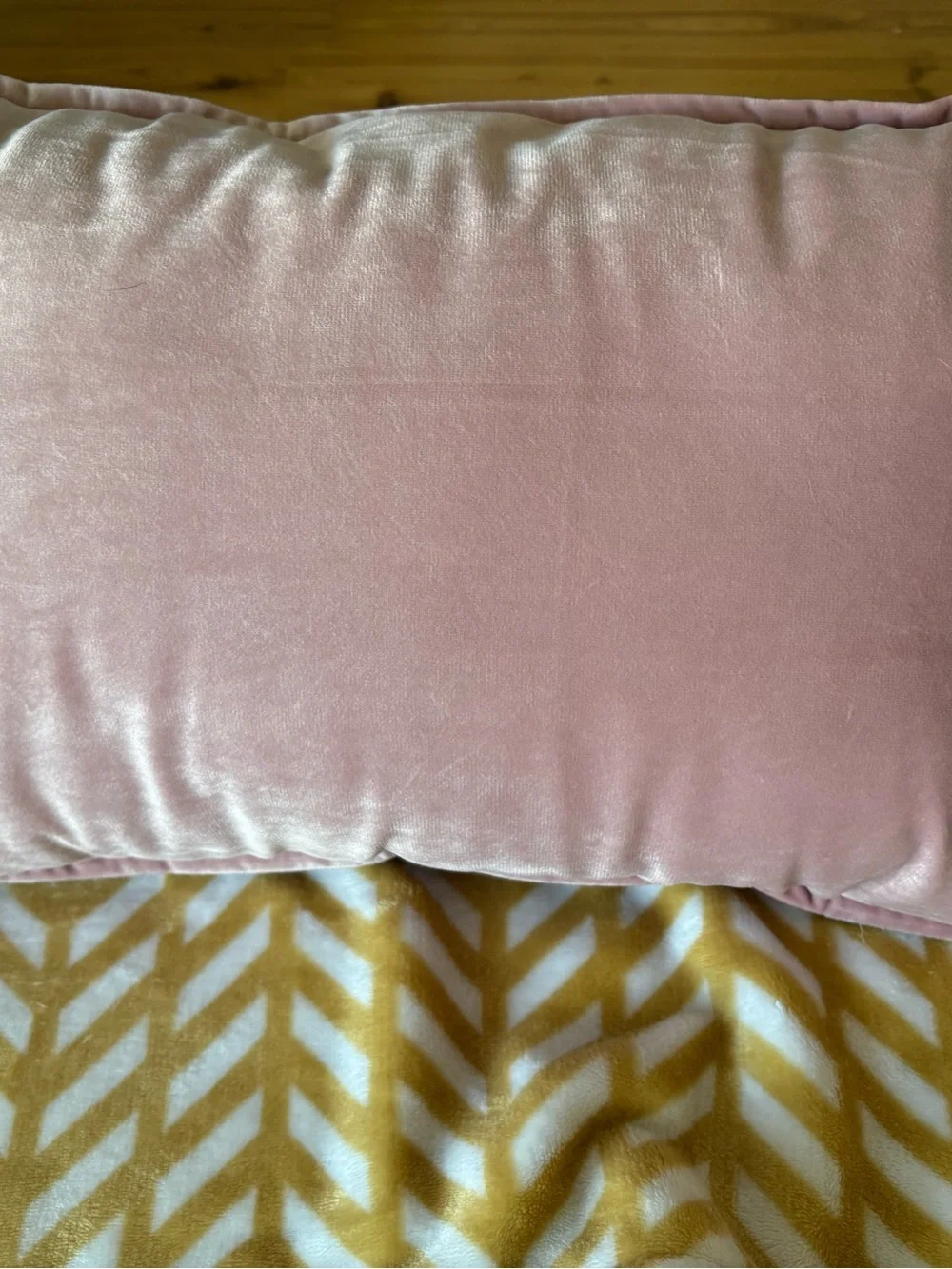 Pink Velvet 'Gather' Accent Pillow with Gold Script